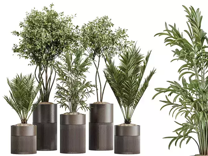 AV Indoor Plants Set 266 Palm Lutescens Olive Eucalyptus