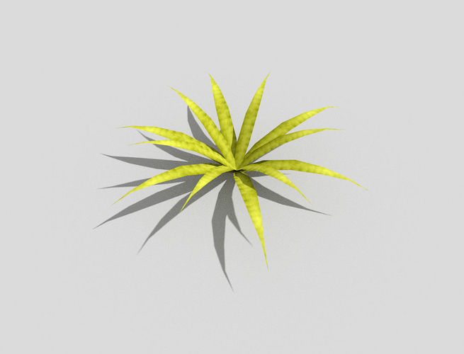 Plant aloe vera Low-poly 3D model