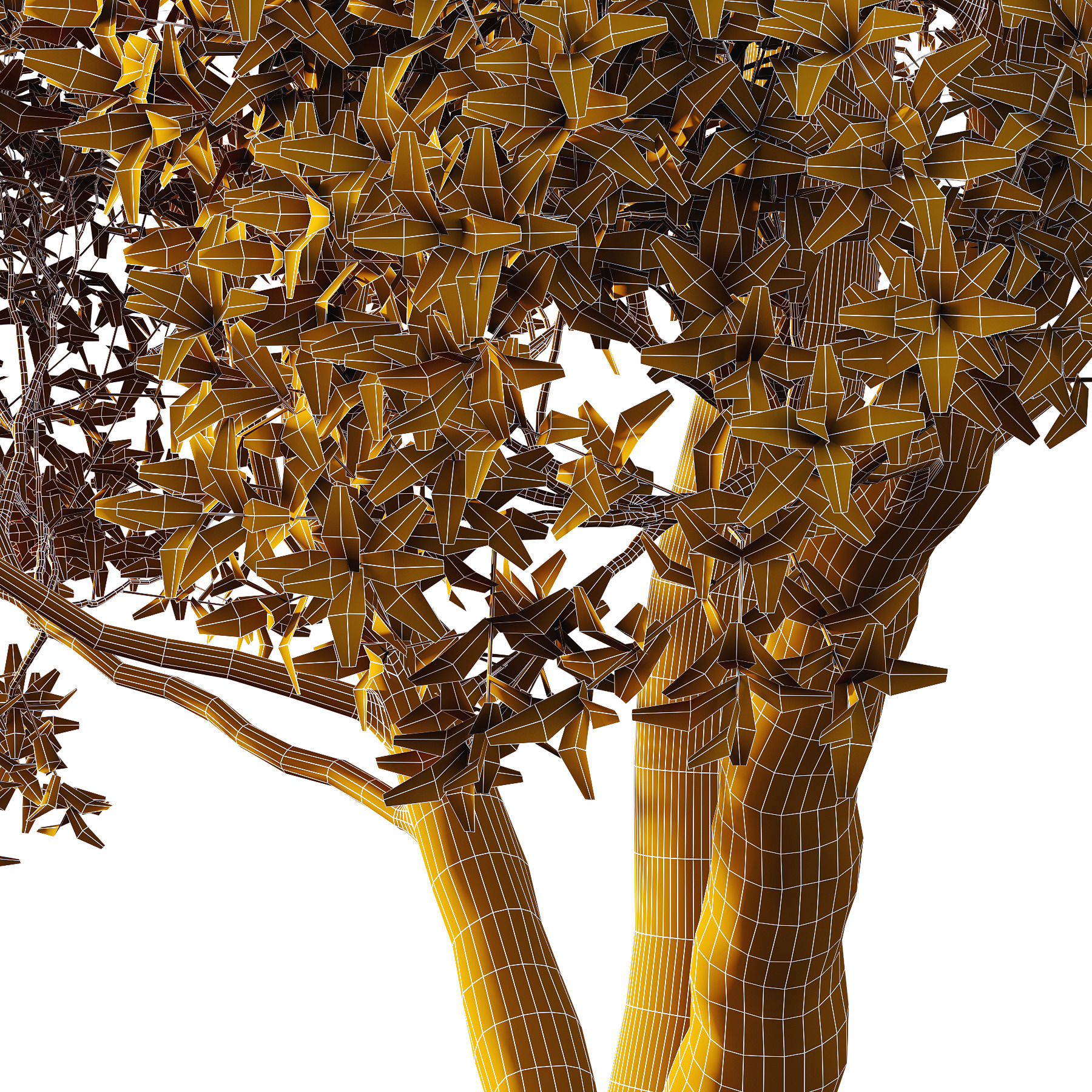 Sydney Blue Gum Tree 07 3D model_2