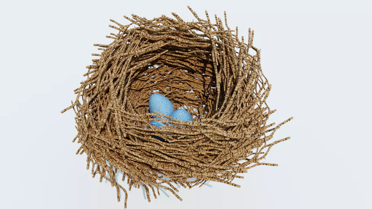 bird nest 3D model