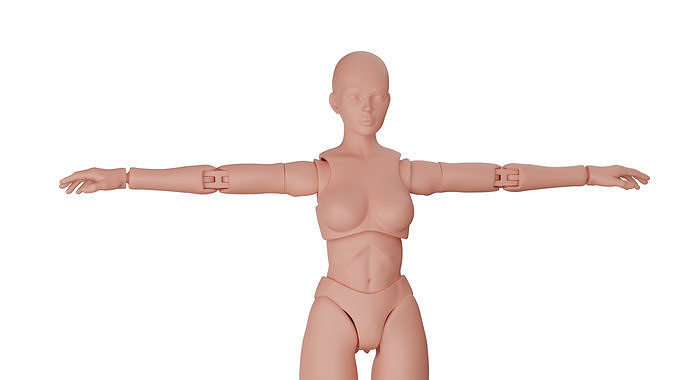 Articulated figure 3D print model