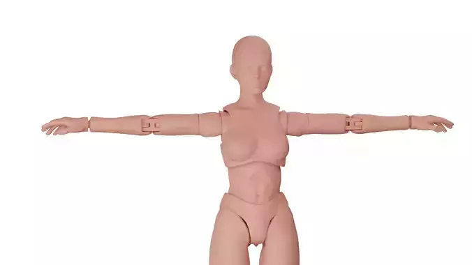 Articulated figure 3D print model