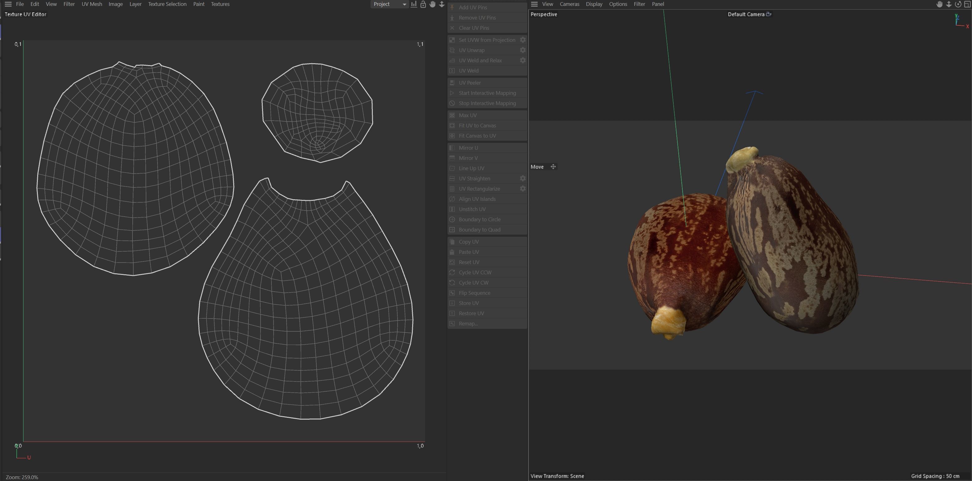caster seed   Low-poly 3D model_6