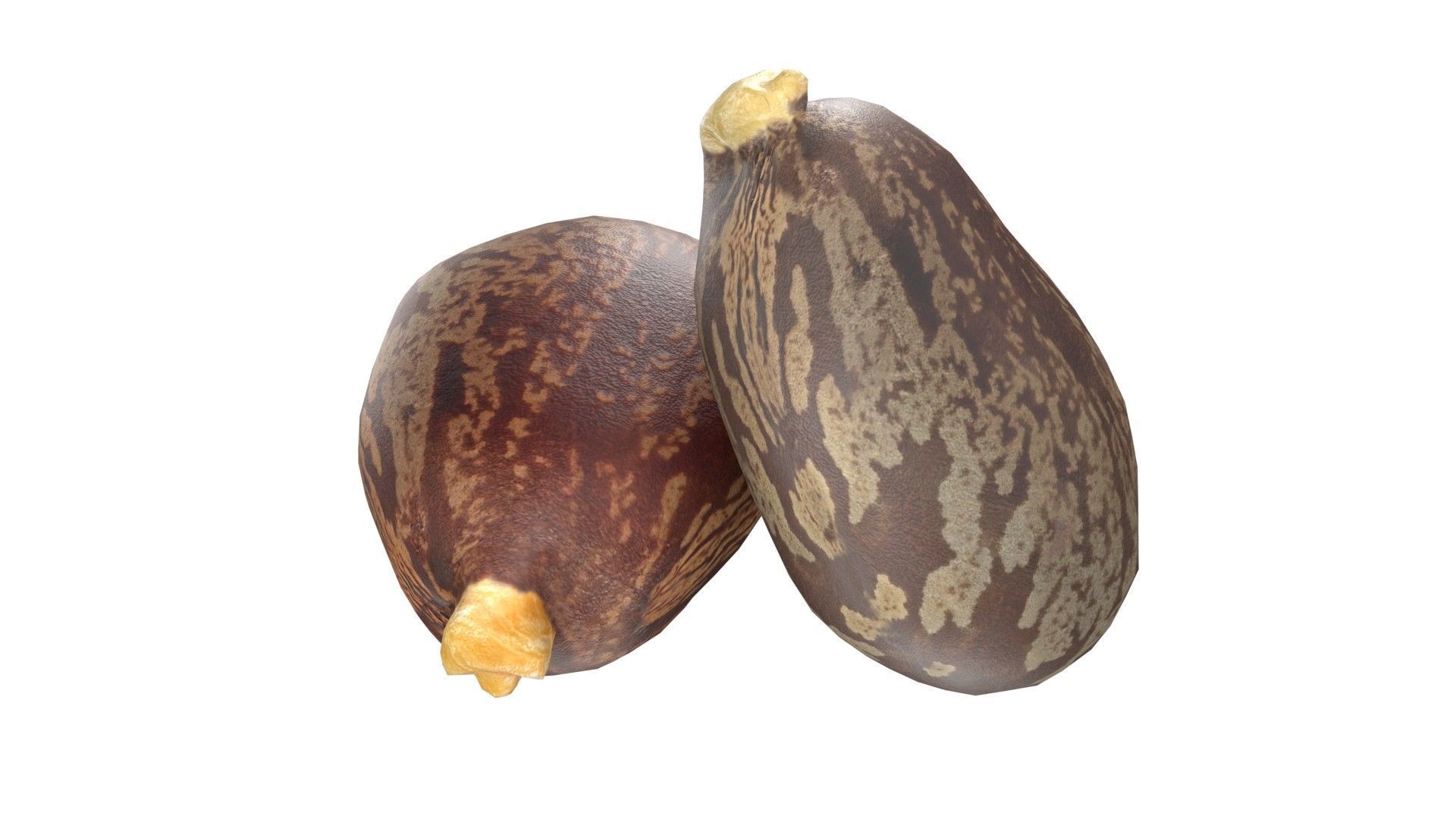 caster seed   Low-poly 3D model_2