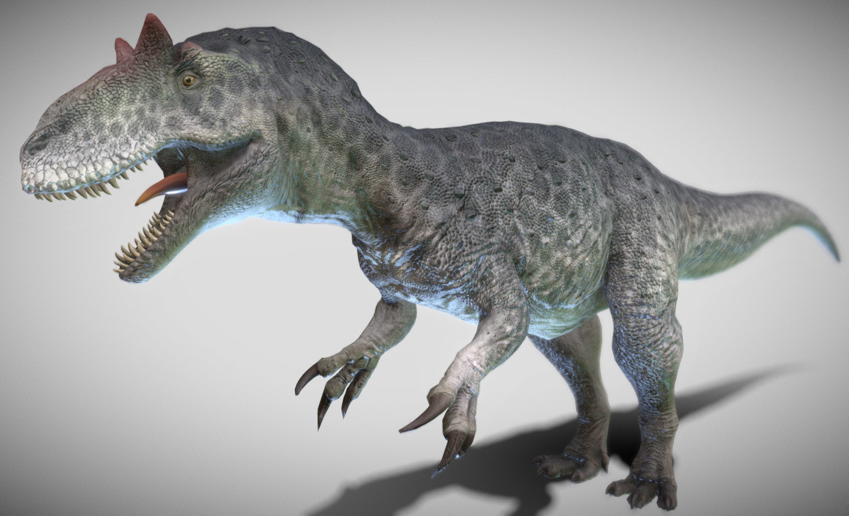 Allosaurus King of the Jurassic Low-poly 3D model_3
