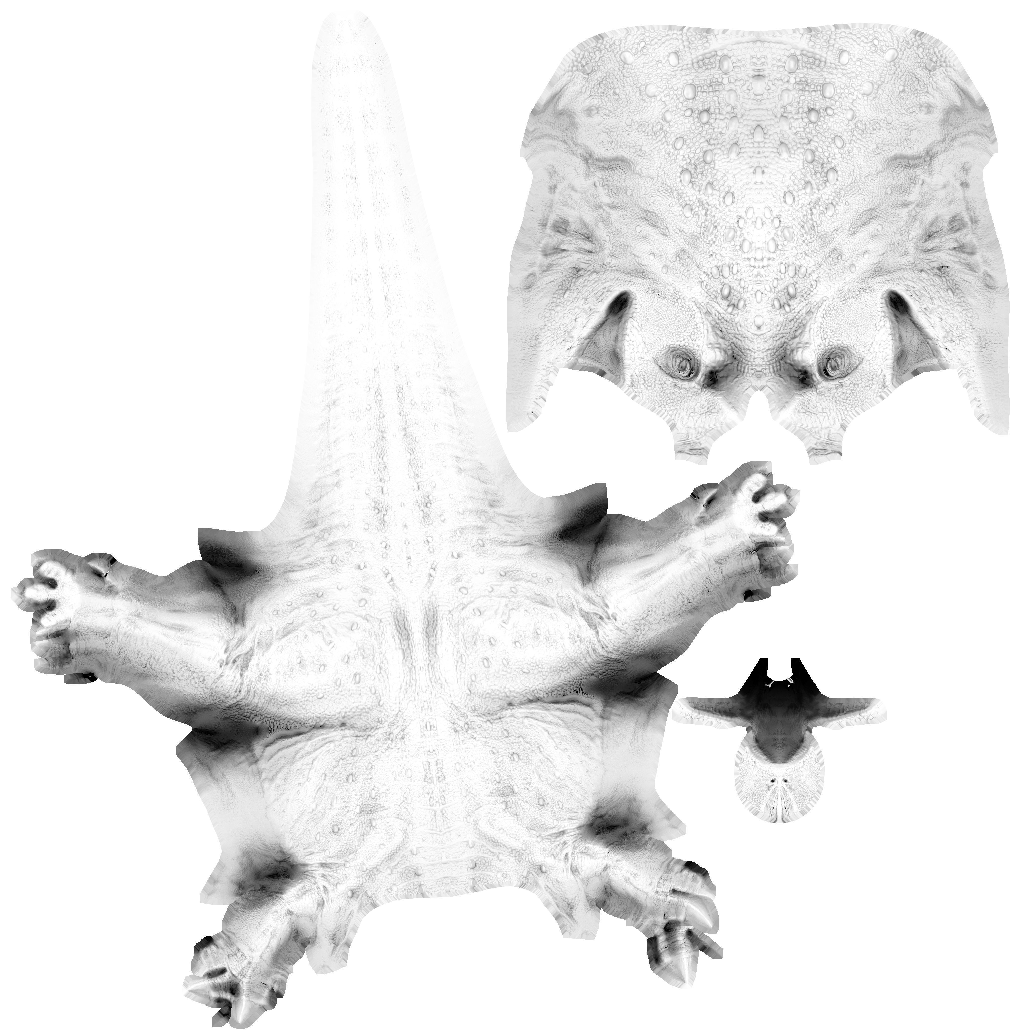 Allosaurus King of the Jurassic Low-poly 3D model_5