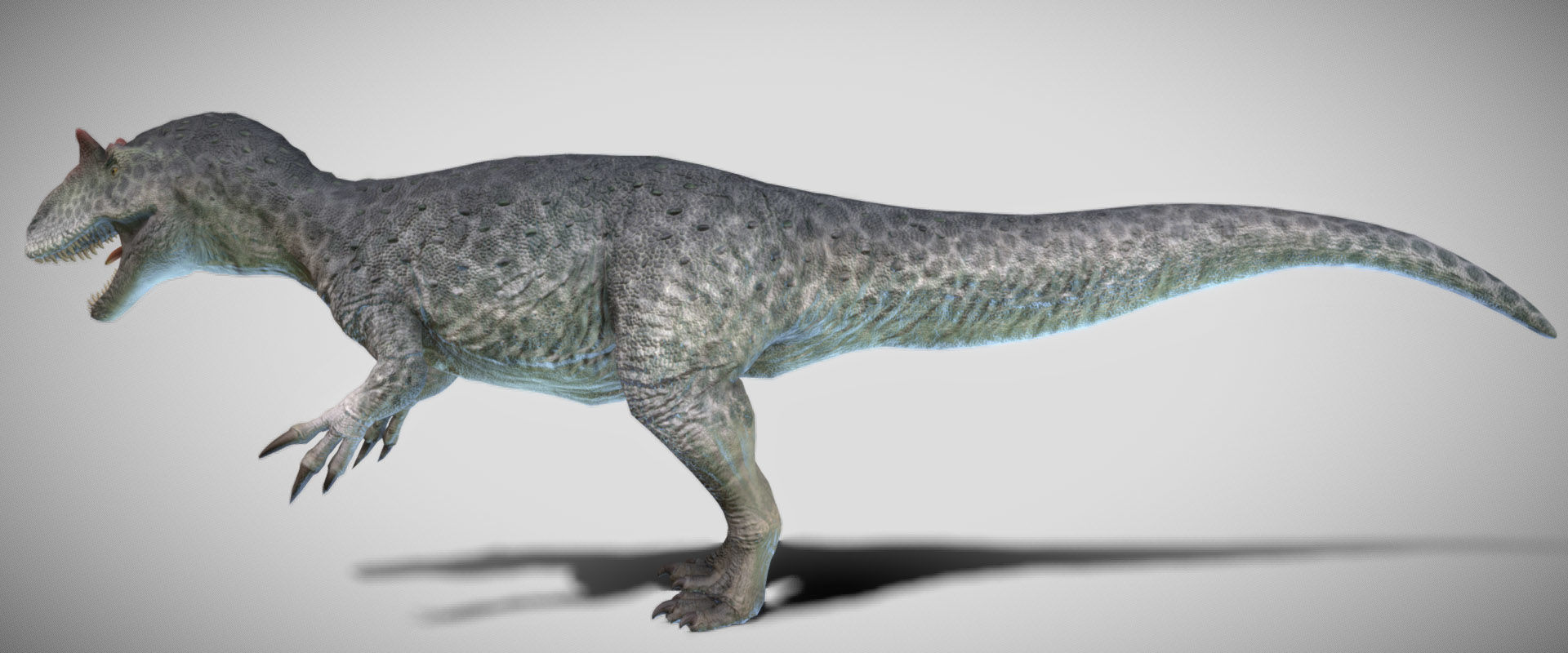 Allosaurus King of the Jurassic Low-poly 3D model_7