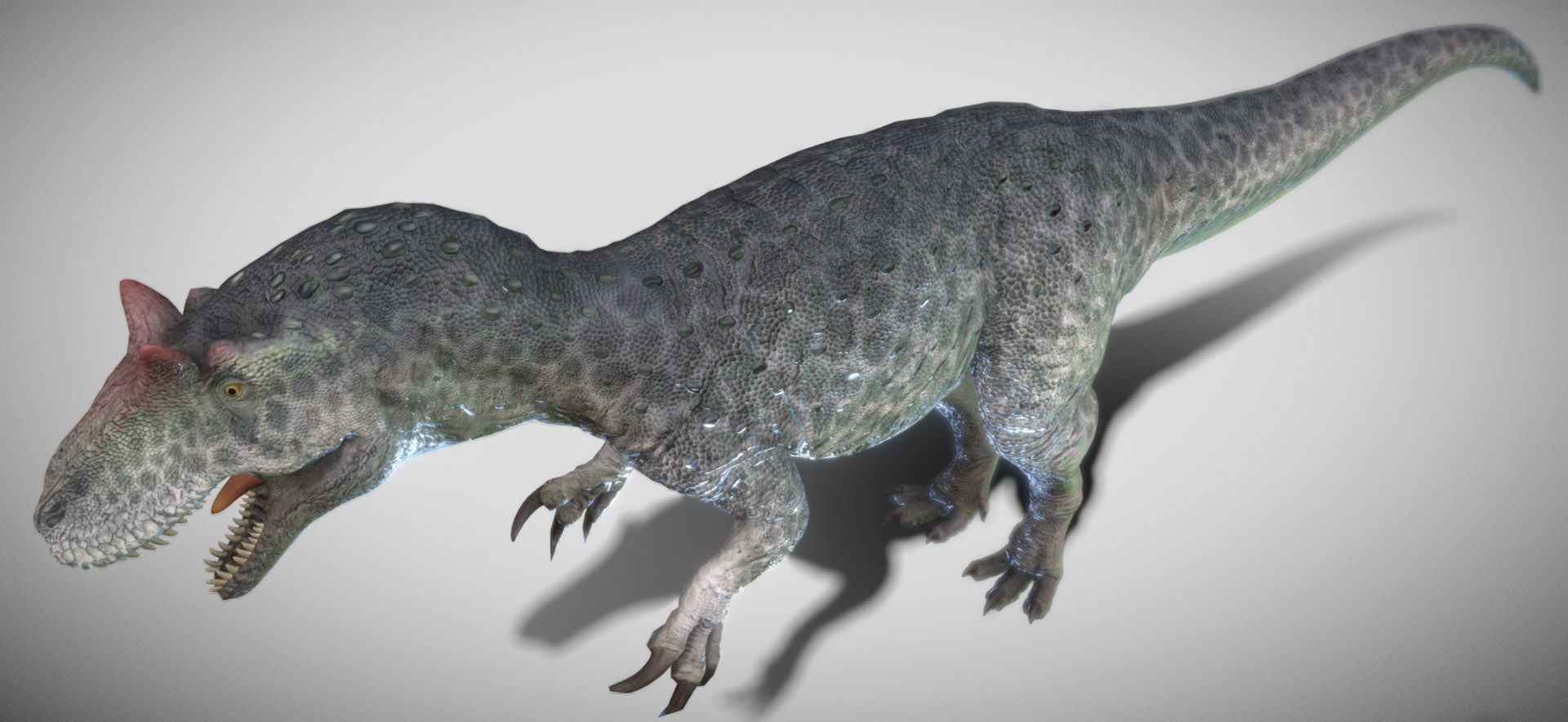 Allosaurus King of the Jurassic Low-poly 3D model_8