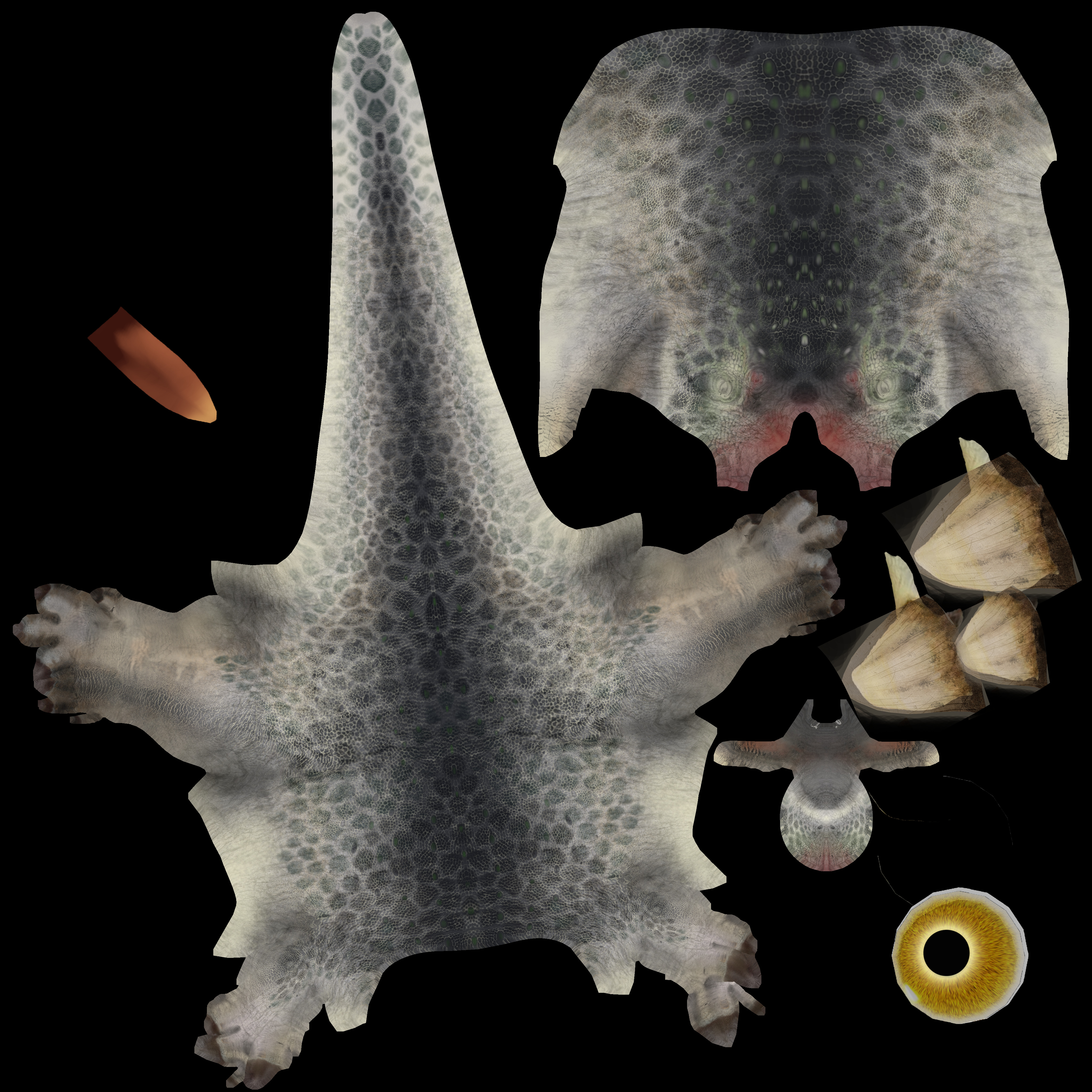 Allosaurus King of the Jurassic Low-poly 3D model_6