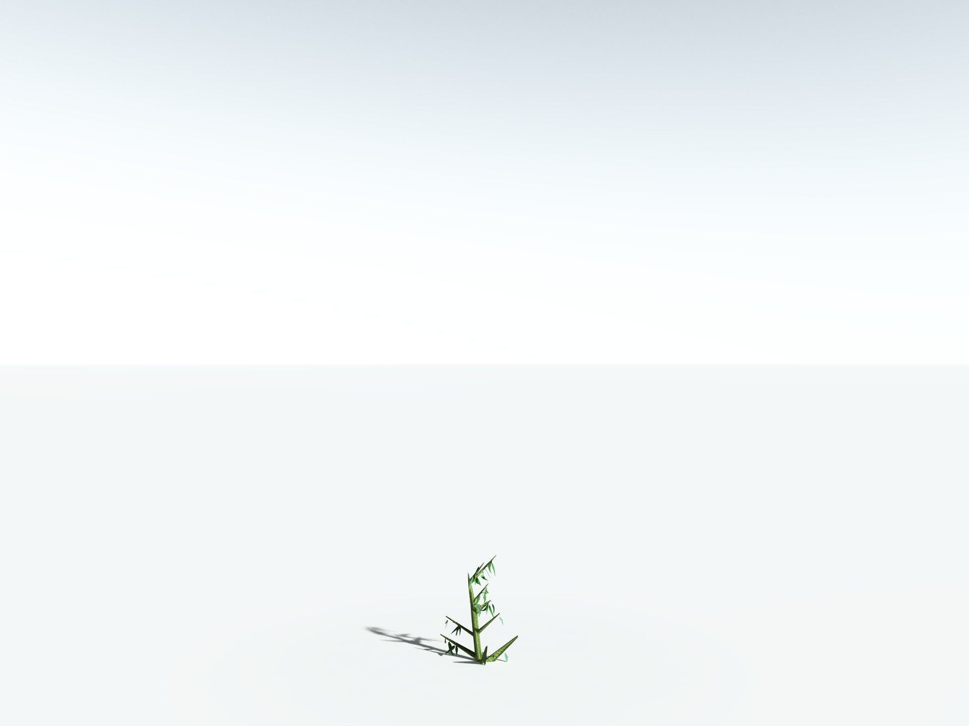 EVERYPlant River Redgum 3D model_31