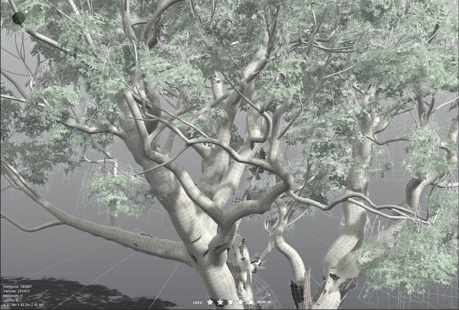 EVERYPlant River Redgum 3D model_33