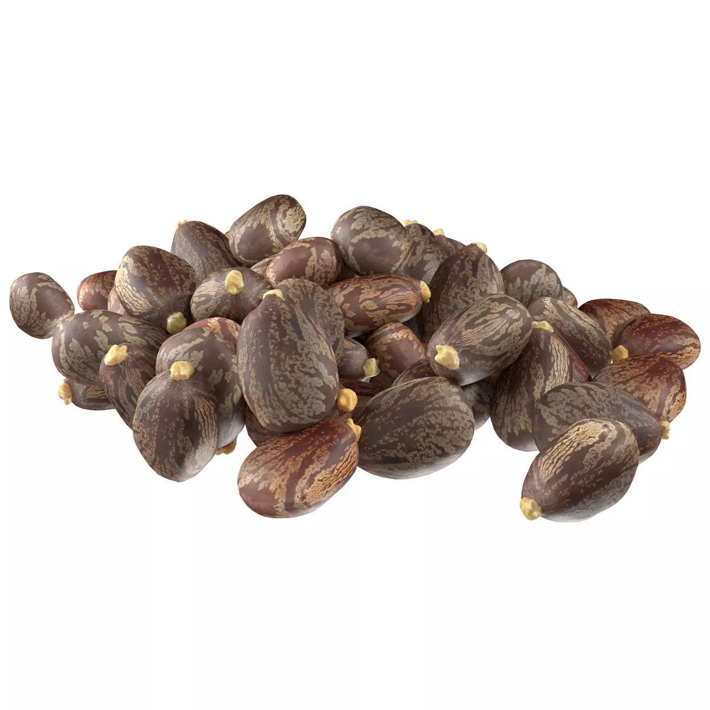 Caster seed pile   Low-poly 3D model_0