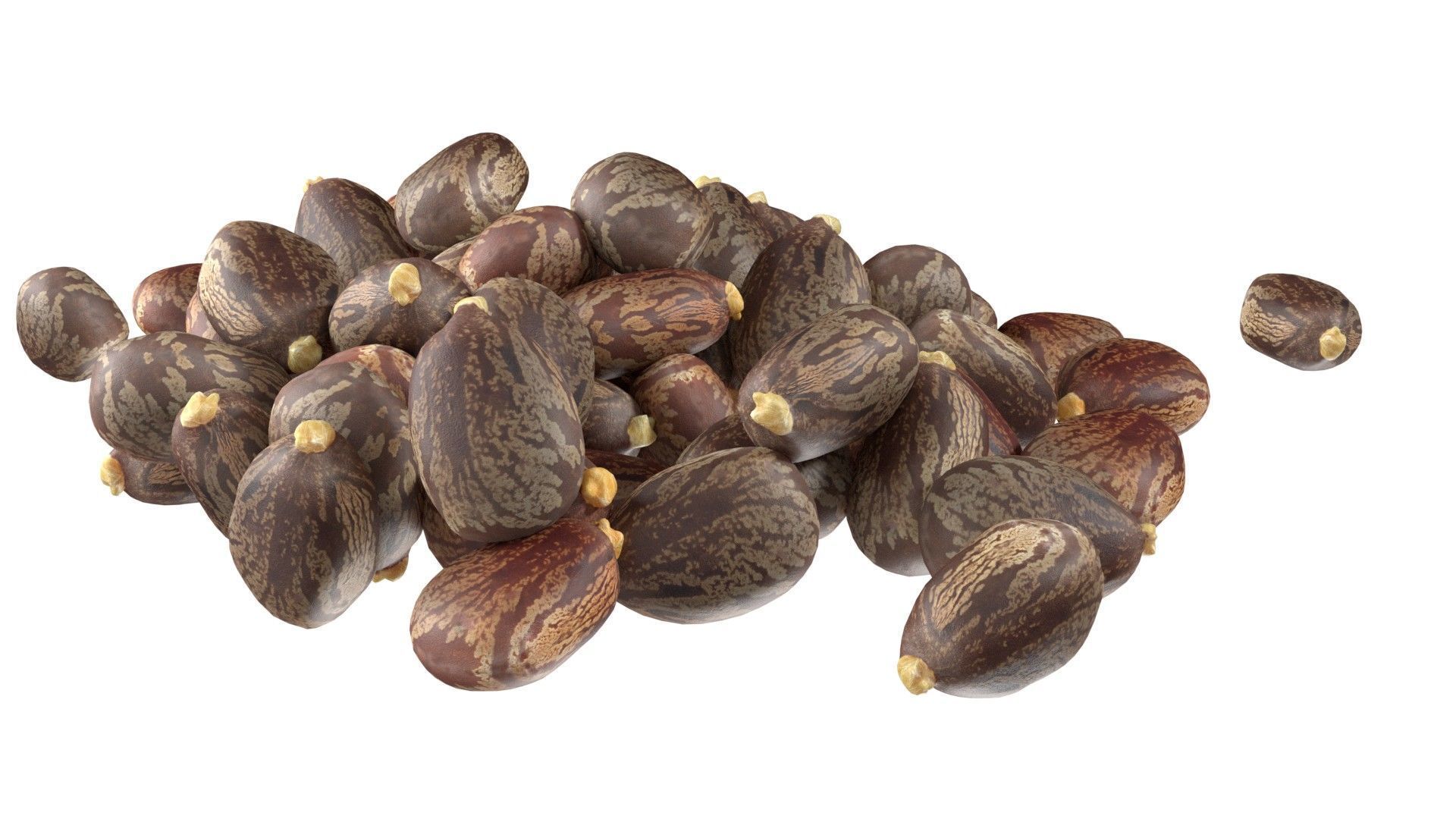 Caster seed pile   Low-poly 3D model_2