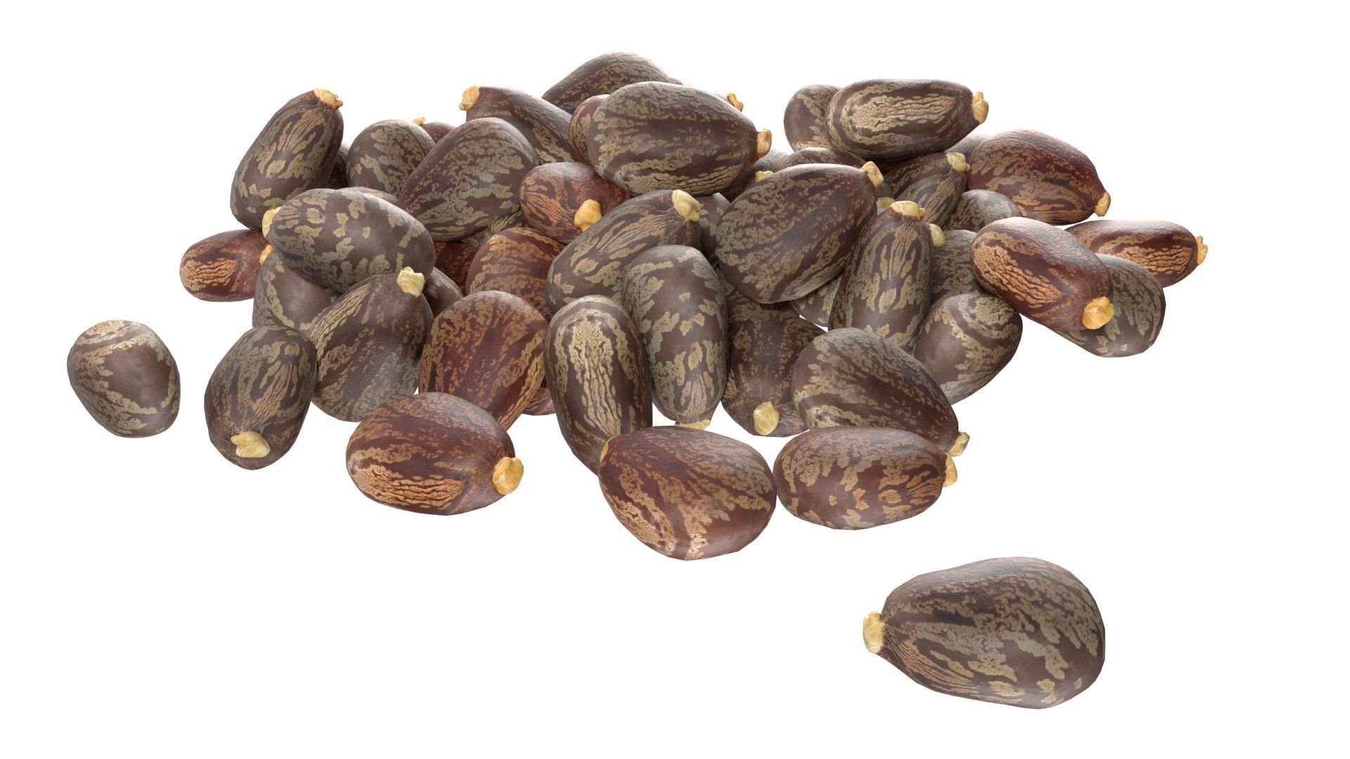 Caster seed pile   Low-poly 3D model_1