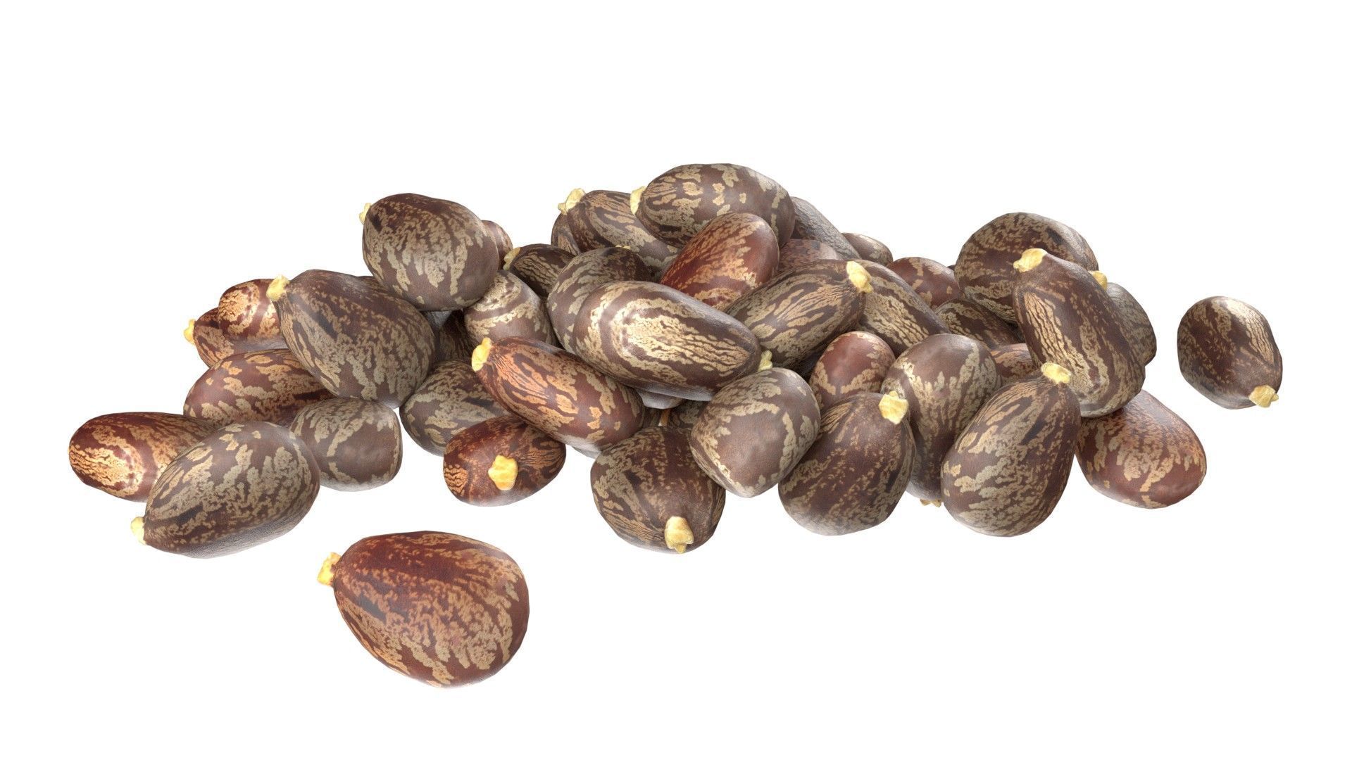 Caster seed pile   Low-poly 3D model_4