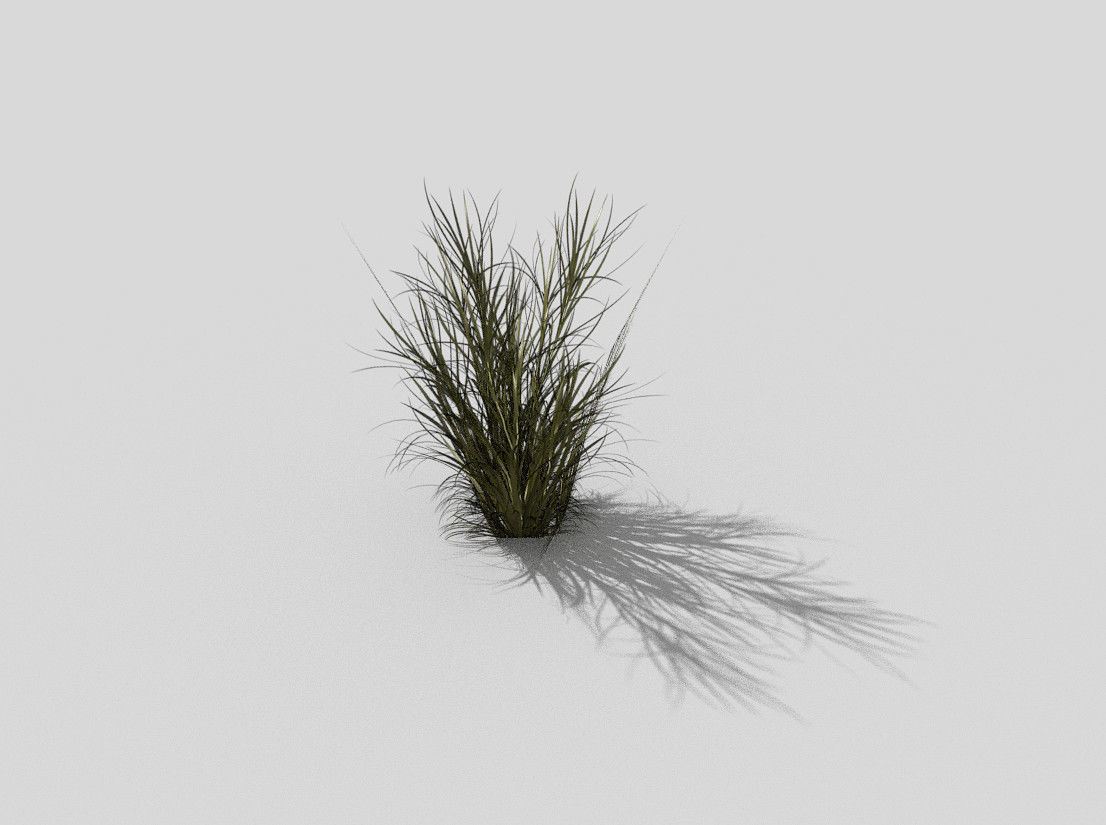 tall grass Low-poly 3D model_3
