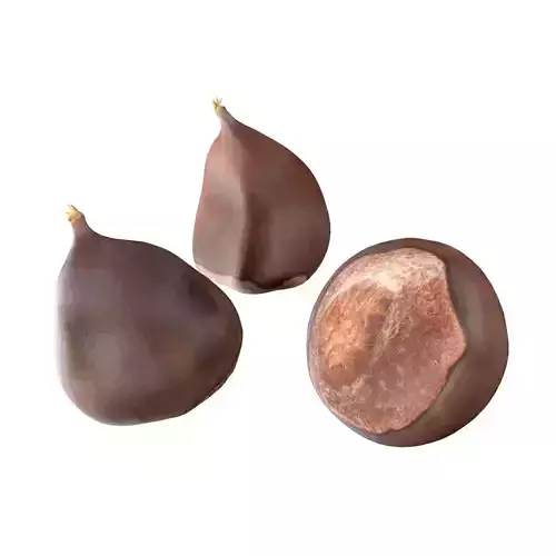 chestnut kernel   Low-poly 3D model