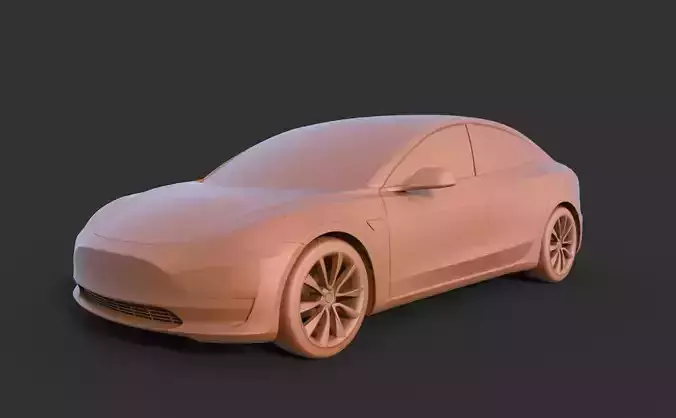 Tesla Model 3 2019
