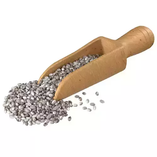 Chia seed scoop