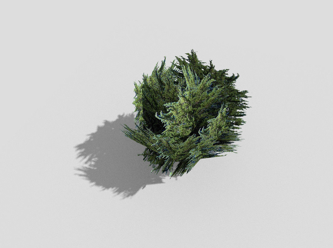 Tree cypress Low-poly 3D model_3