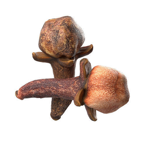 Cloves  Low-poly 3D model