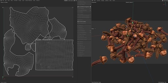 Cloves  Pile Low-poly 3D model 7