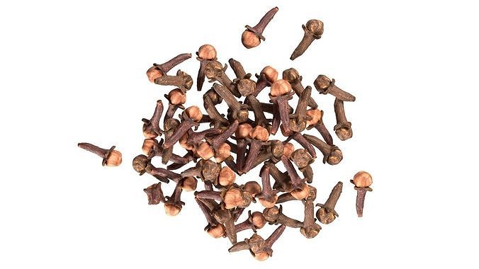 Cloves  Pile Low-poly 3D model 4