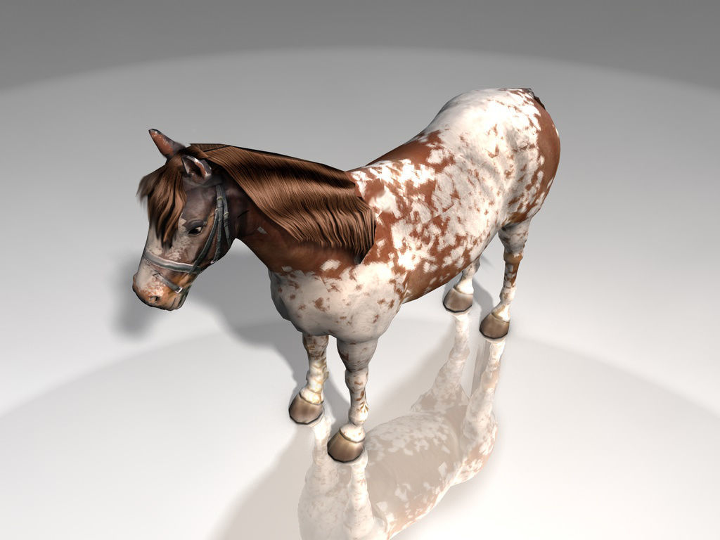 Pinto Horse Low-poly 3D model_4