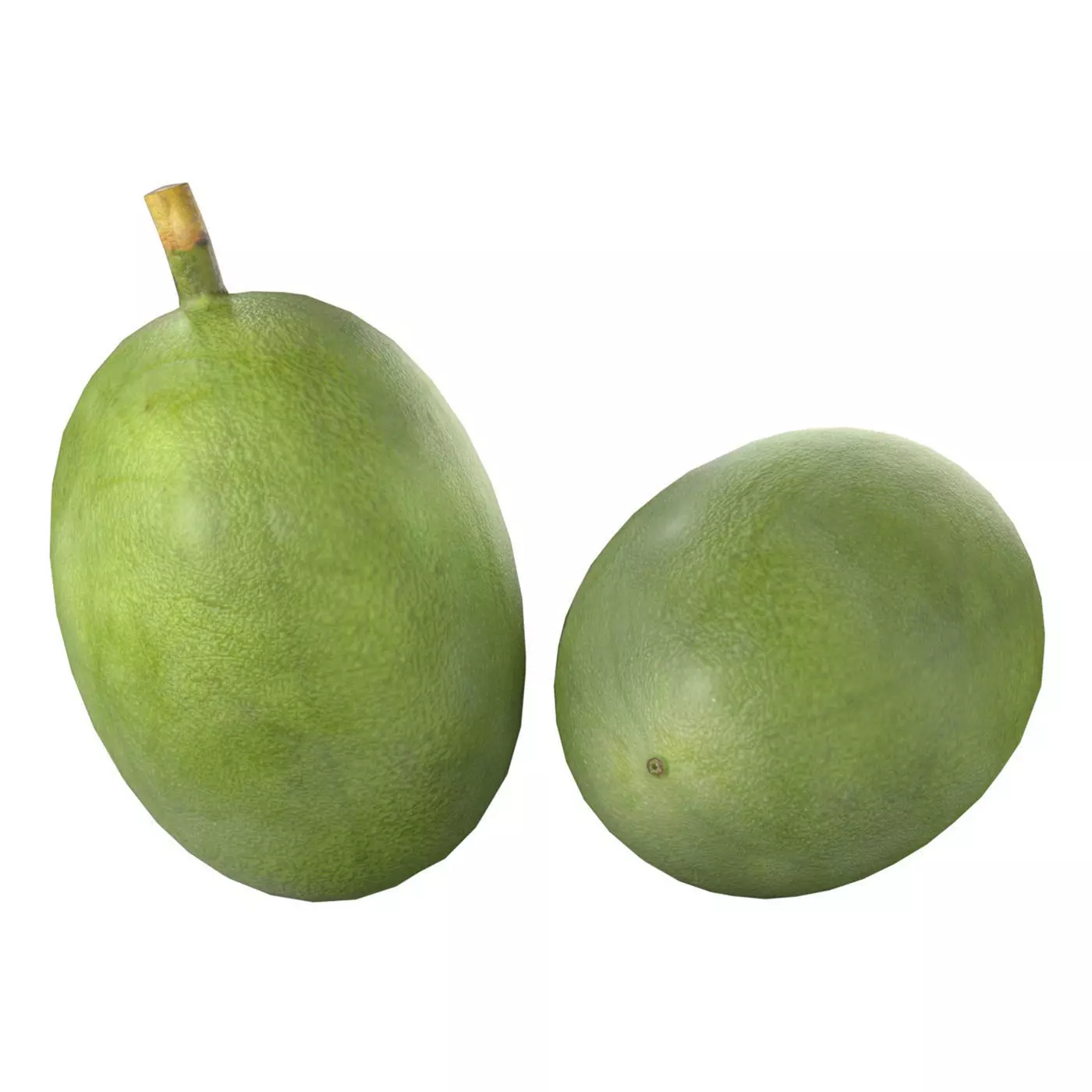 Green coffee bean Low-poly 3D model
