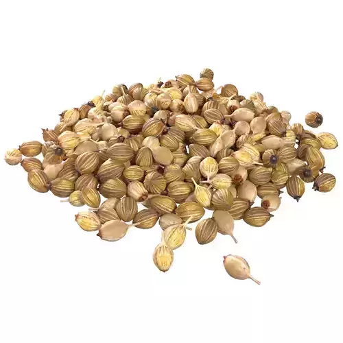 Coriander seed pile