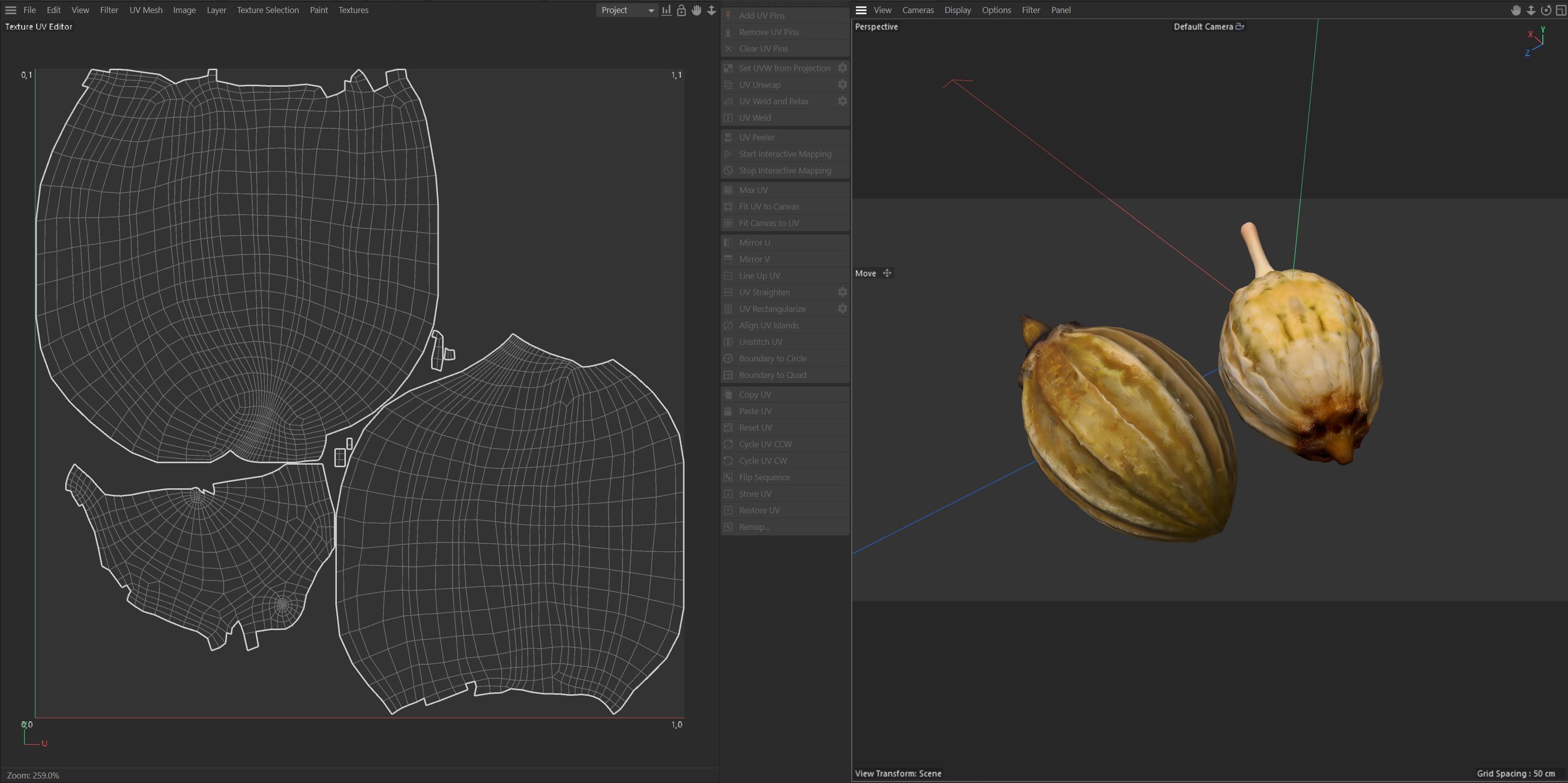 Coriander seeds  Low-poly 3D model_6