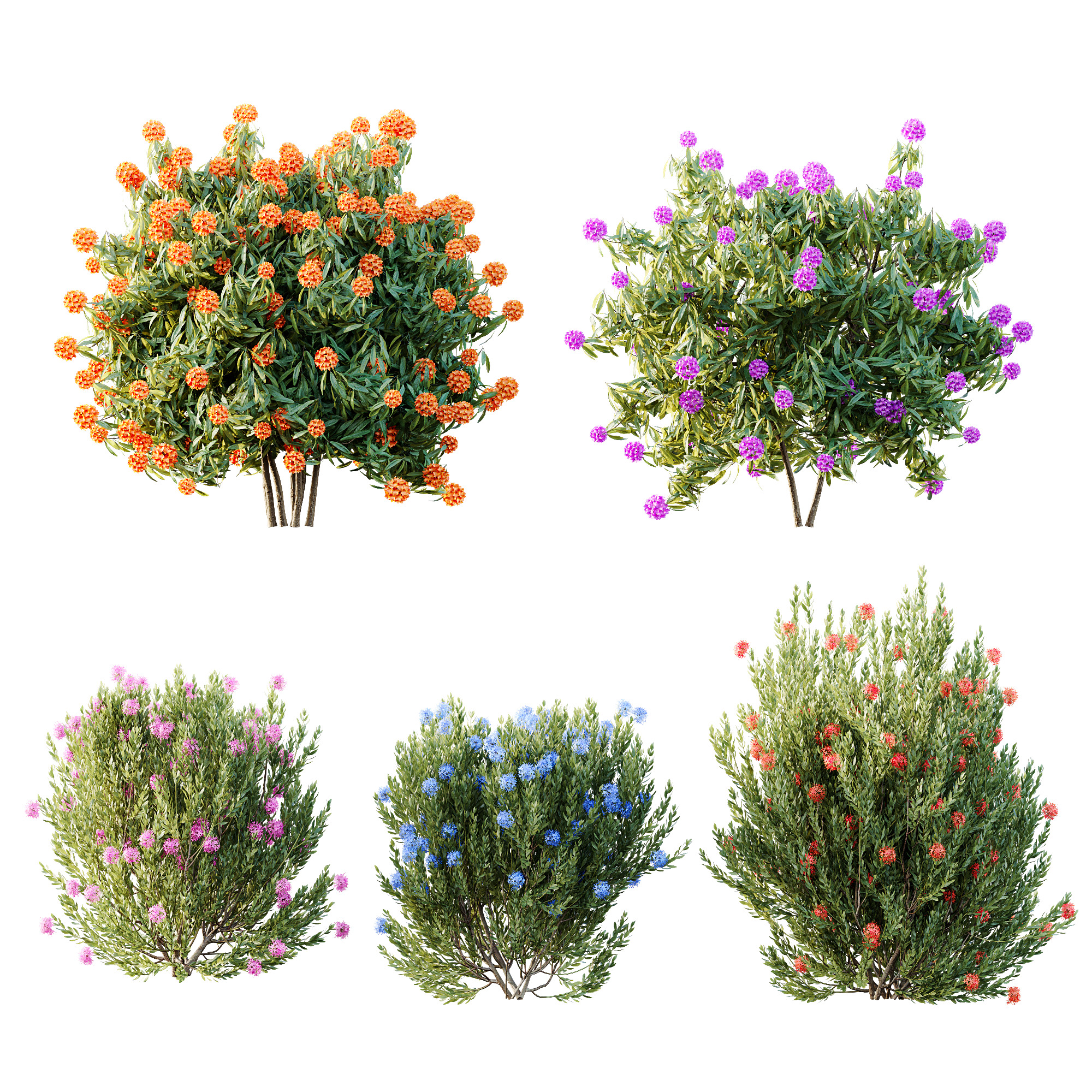 AV 14 Different sets of spring and summer shrubs 3D Model Collection_14