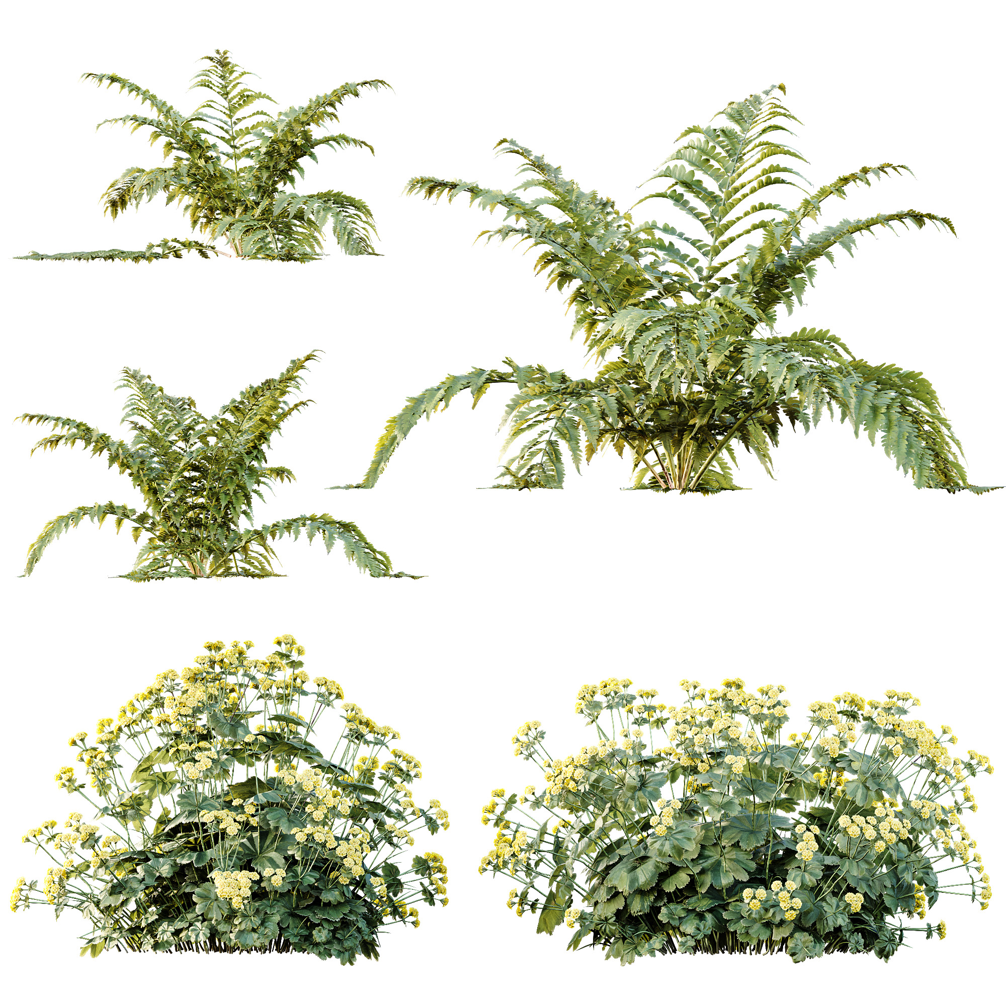 AV 14 Different sets of spring and summer shrubs 3D Model Collection_6