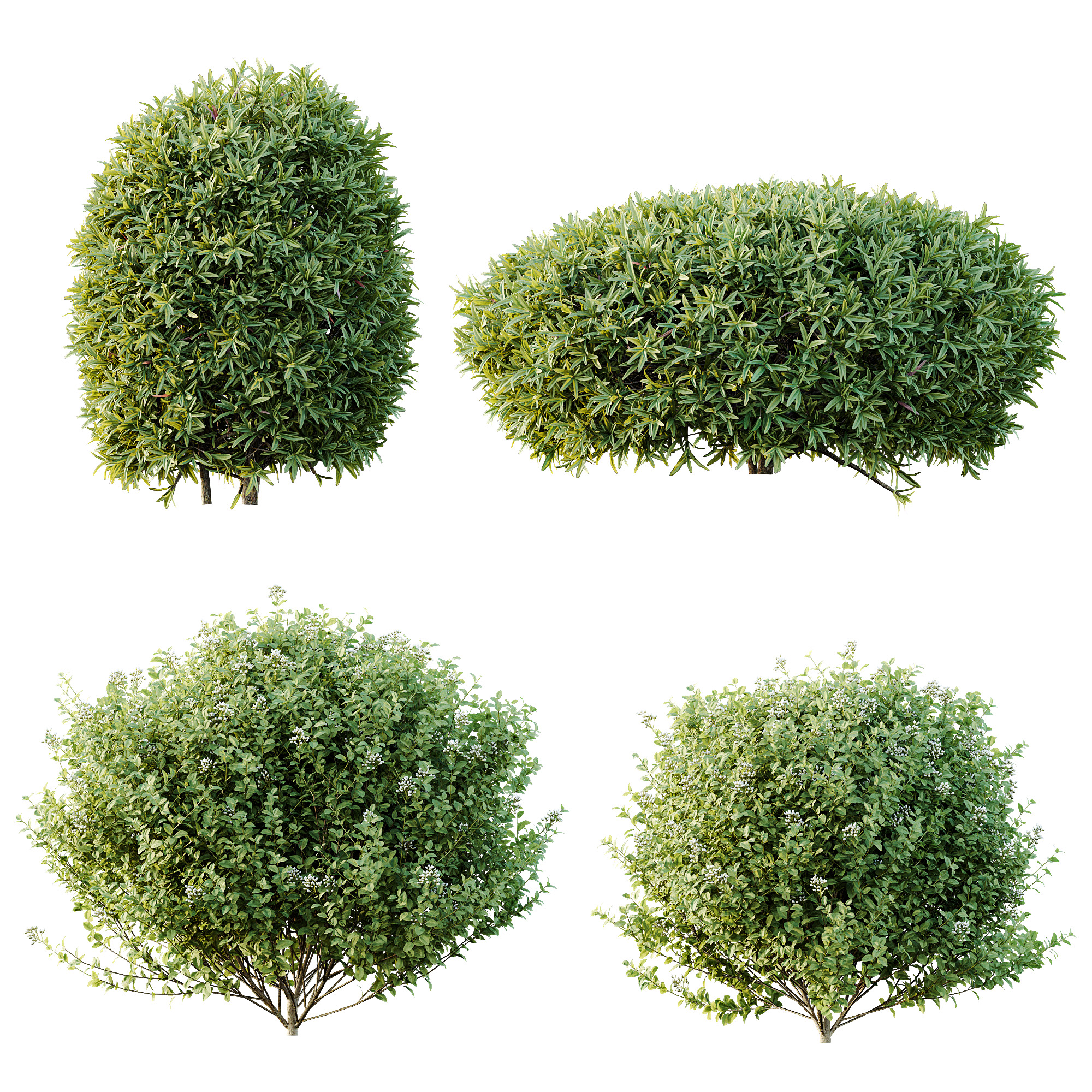 AV 14 Different sets of spring and summer shrubs 3D Model Collection_11