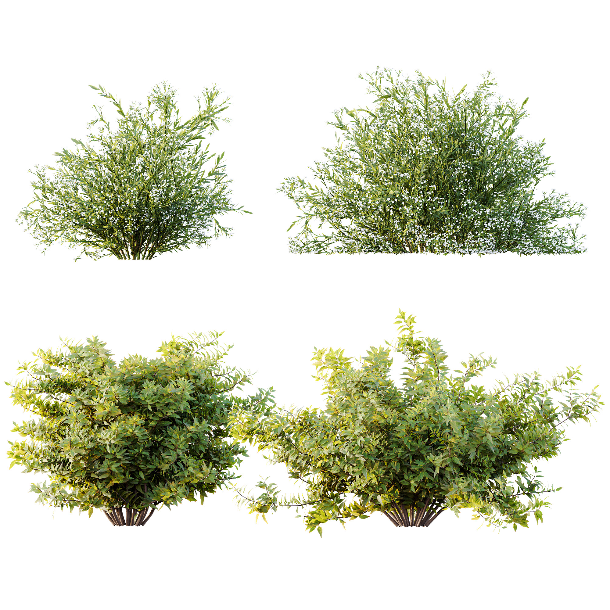 AV 14 Different sets of spring and summer shrubs 3D Model Collection_5