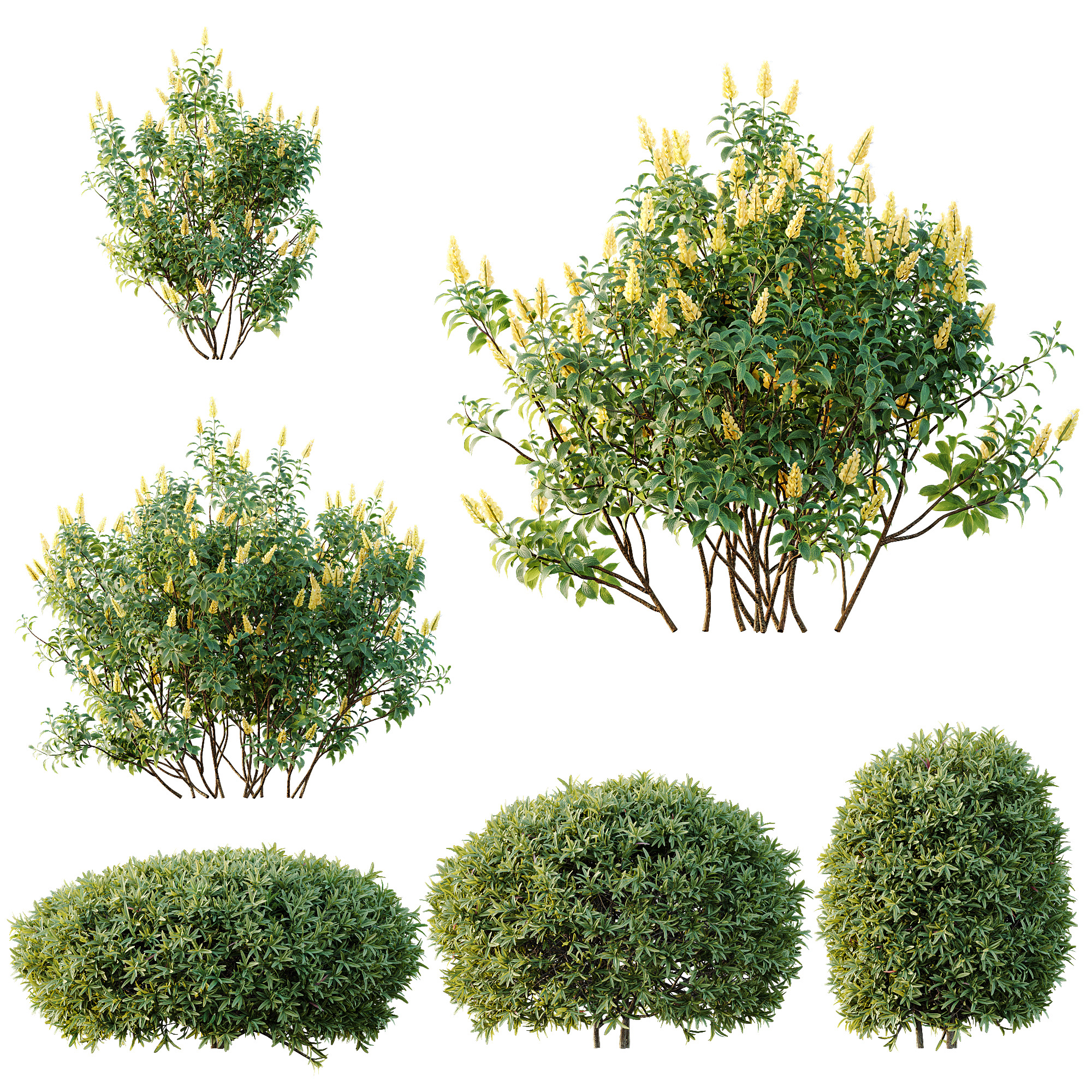 AV 14 Different sets of spring and summer shrubs 3D Model Collection_9