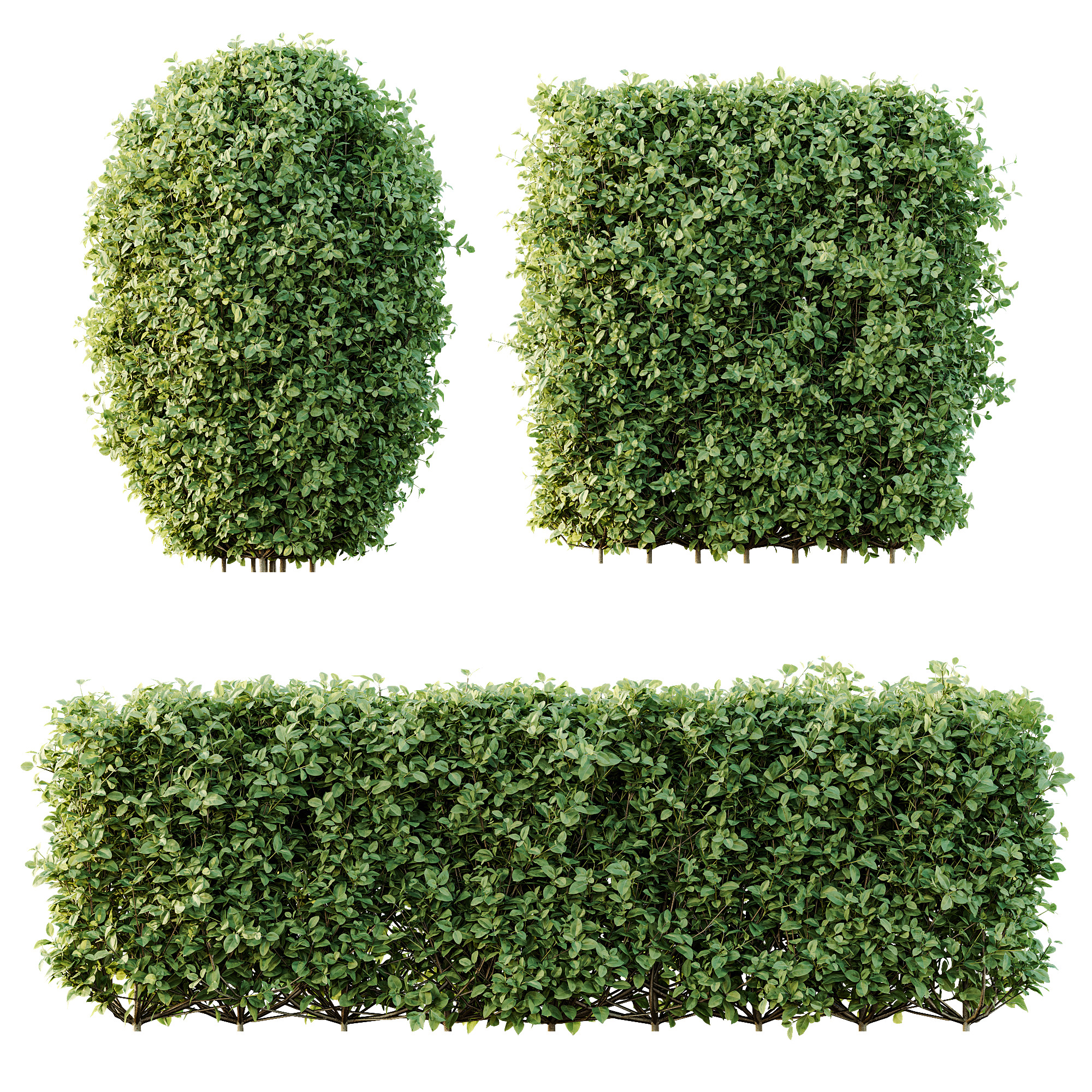 AV 14 Different sets of spring and summer shrubs 3D Model Collection_7