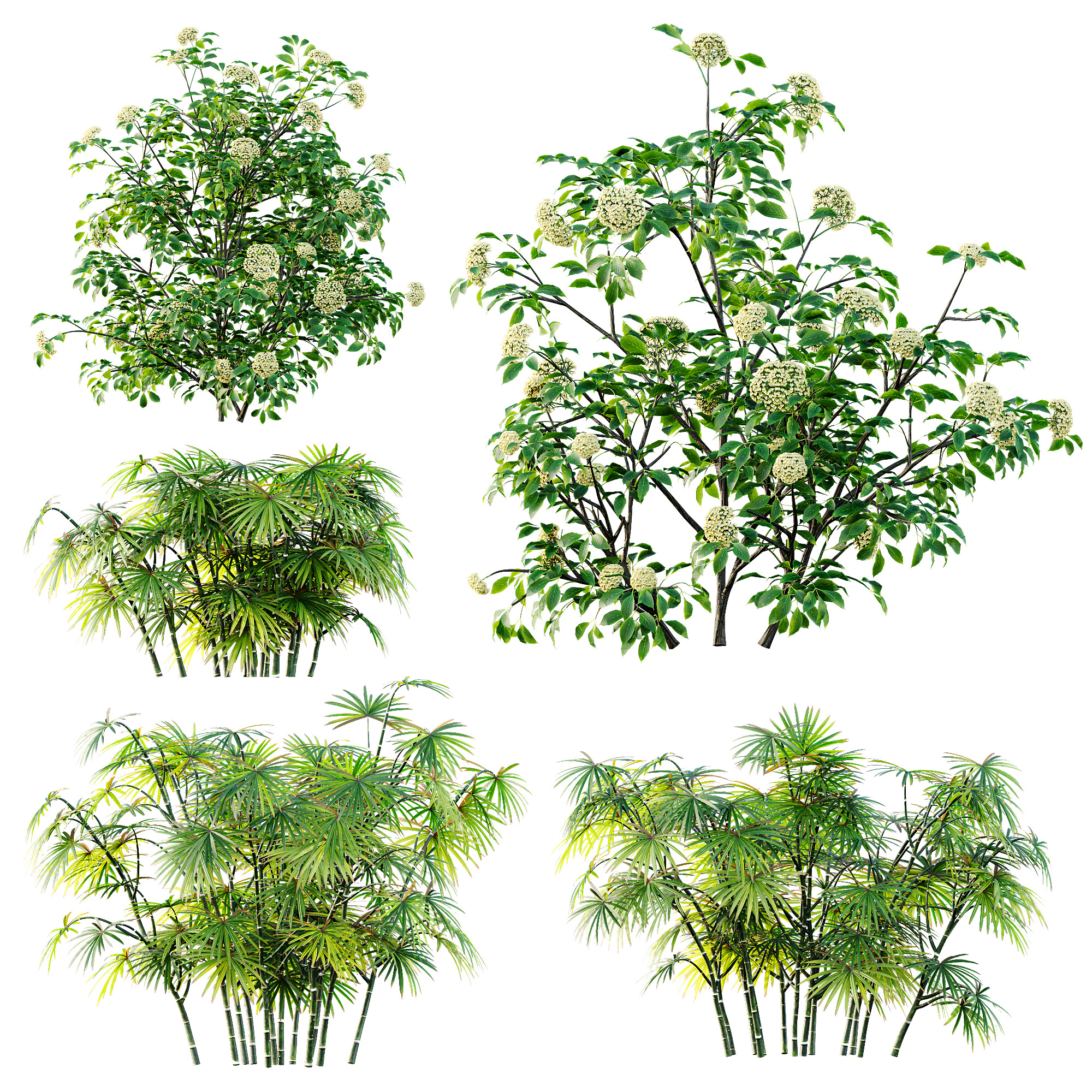 AV 14 Different sets of spring and summer shrubs 3D Model Collection_10