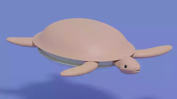 Cartoon Loggerhead Sea Turtle