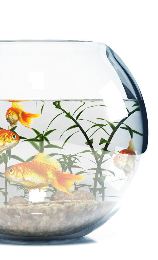 Aquarium  bowl 3D model_2