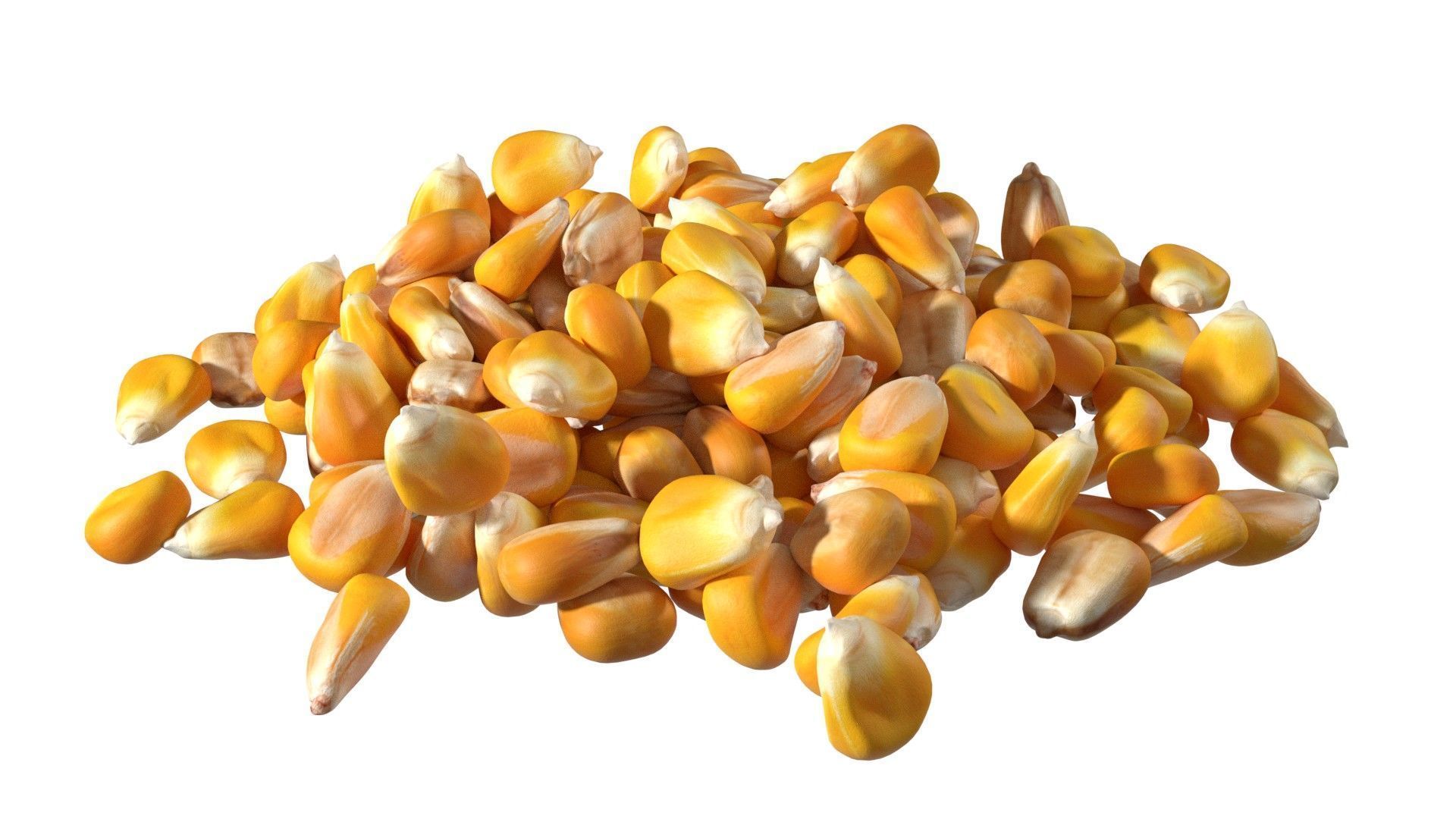 Coriander seed pile  Low-poly 3D model_6