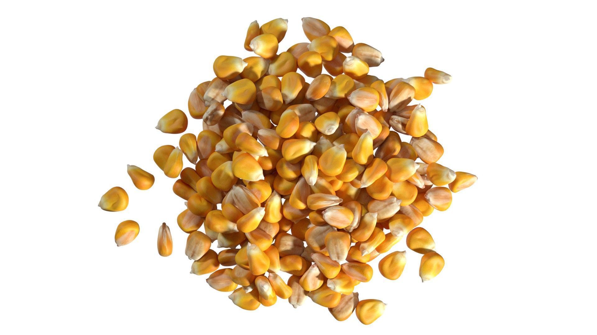 Coriander seed pile  Low-poly 3D model_5