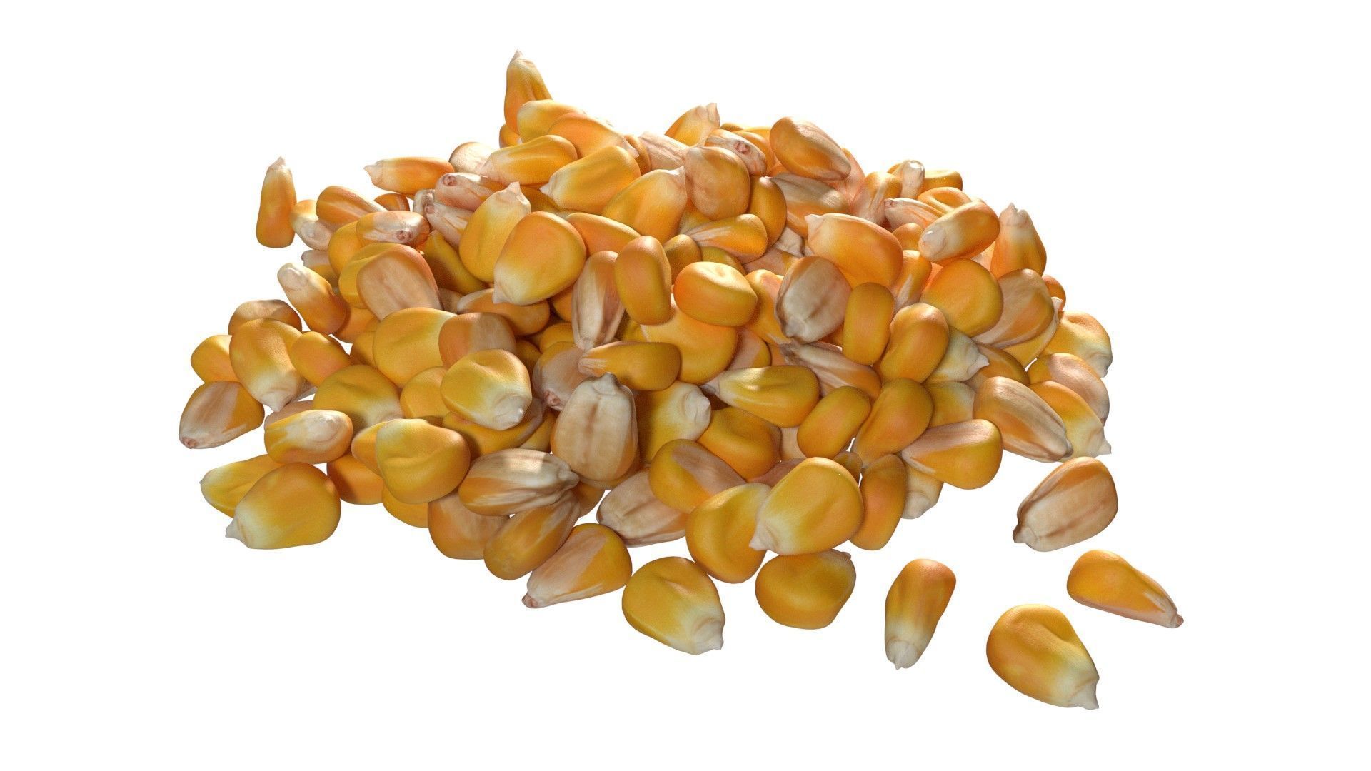 Coriander seed pile  Low-poly 3D model_3