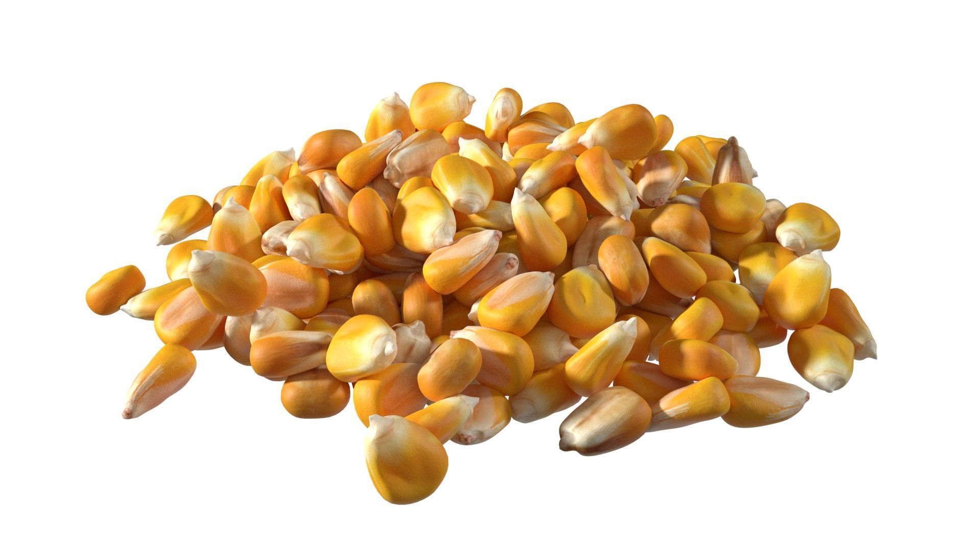 Coriander seed pile  Low-poly 3D model_1