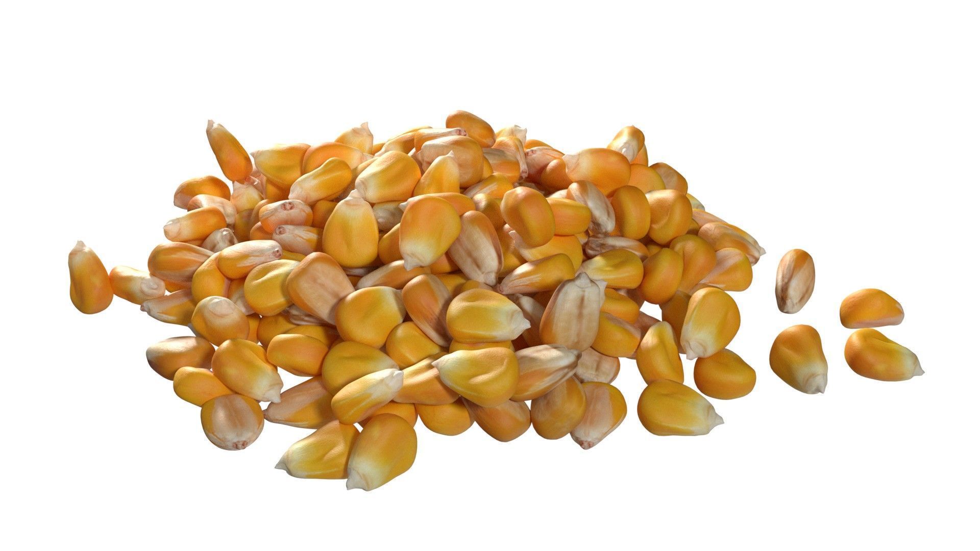 Coriander seed pile  Low-poly 3D model_2