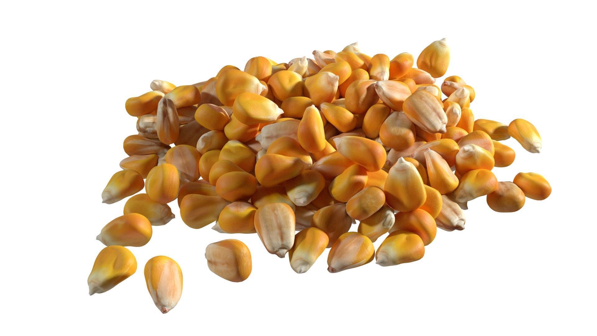 Coriander seed pile  Low-poly 3D model_4