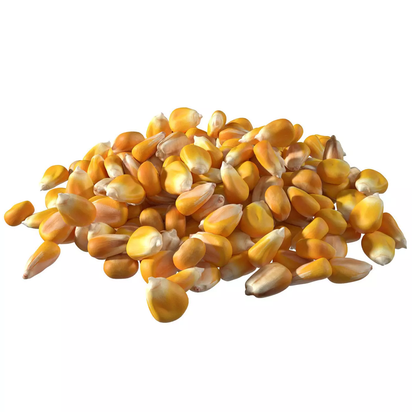 Coriander seed pile  Low-poly 3D model_0