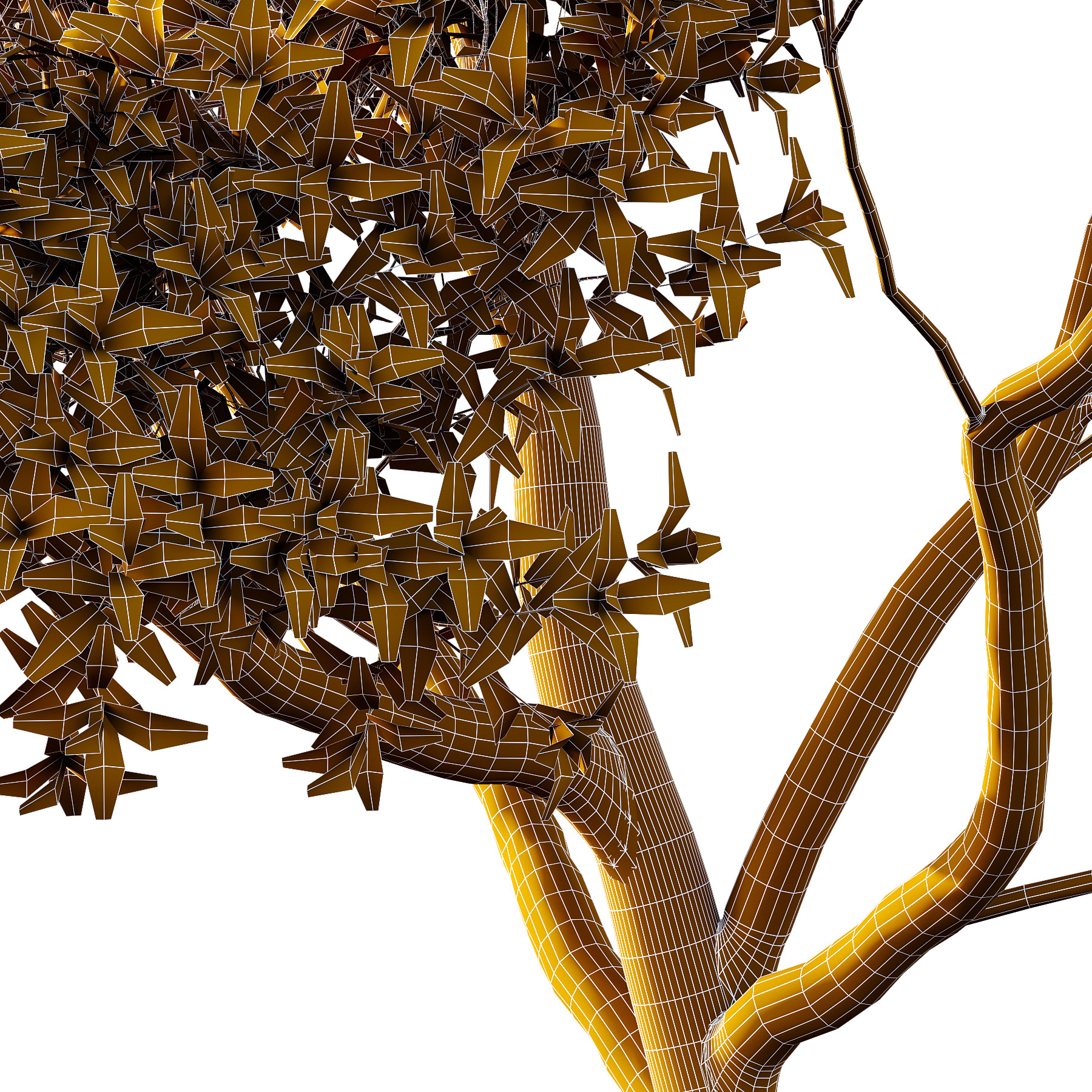 Sydney Blue Gum Tree 08 3D model_3