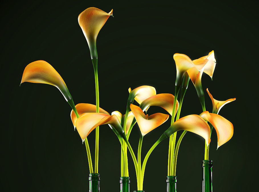 callalilly orange 3D model_4