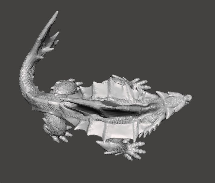 DRAGON SHARK MINIATURE MODEL FIGURE FOR FANTASY GAMES RPG DND 3D print model_9